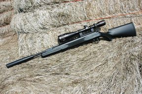 Diana Panther 31 Professional Compact - image {image:count}