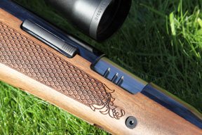 Head to Head - image {image:count}