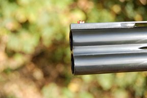 Salvinelli Monaco - image {image:count}