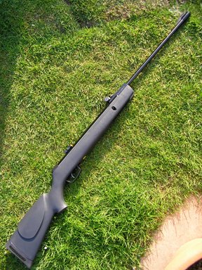 Choosing an air rifle for juniors