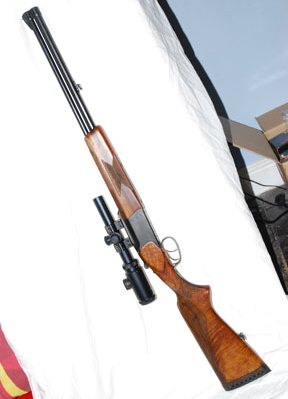Baikal Sever combination and IZH1/8 rifle