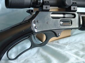 Piginator 45-70 custom - image {image:count}