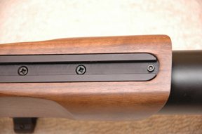 Theoben’s Rapid Tactical TTR1 - image {image:count}