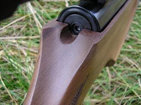 Theoben Evolution Vs. Theoben SLR98 - image {image:count}