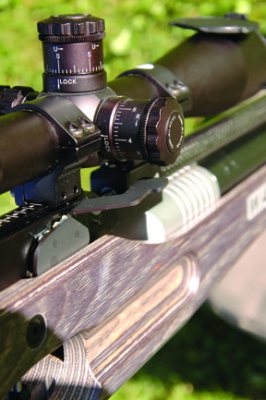 Walther Dominator - image {image:count}