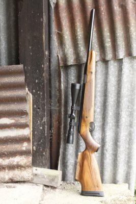 Old V New FT Rifles - image {image:count}