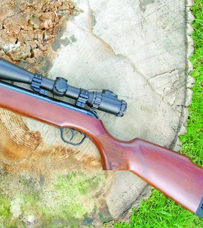 Walther LGV - image {image:count}