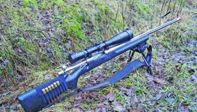 Remington 700 - image {image:count}
