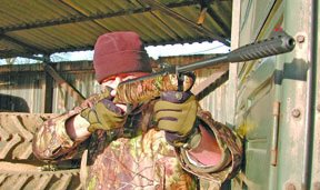 Webley valuemax - image {image:count}