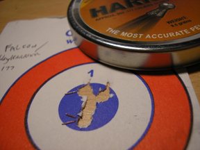 Falcon Lighthunter Prairie B - image {image:count}