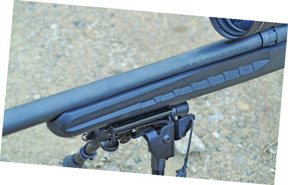 Savage Axis - image {image:count}