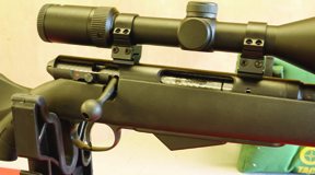 17 Hornet Special - image {image:count}