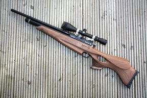 Daystate Merlyn ST Carbine - image {image:count}