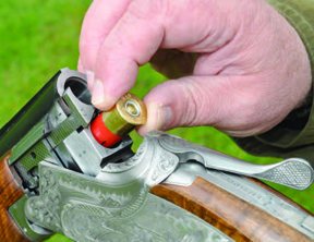 Browning B25 - image {image:count}