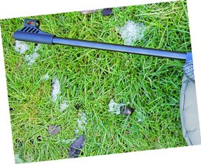 Diana Panther 21 carbon - image {image:count}