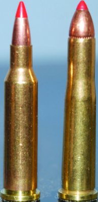 Savage Model 25 Walking Varminter - image {image:count}