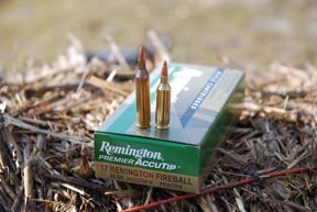 Remington SPS Varmint / 17 Rem Fireball