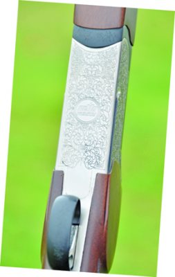 Revo Youth - image {image:count}