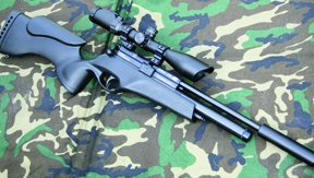 BSA Ultra SE - image {image:count}