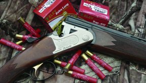 Sabatti Adler - image {image:count}