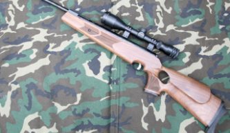 Webley Longbow