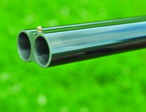 William Powell Marquis - image {image:count}