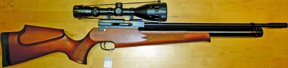 Evanix Range of Air Rifles - image {image:count}