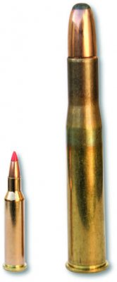 Ruger No1 Rifle - image {image:count}