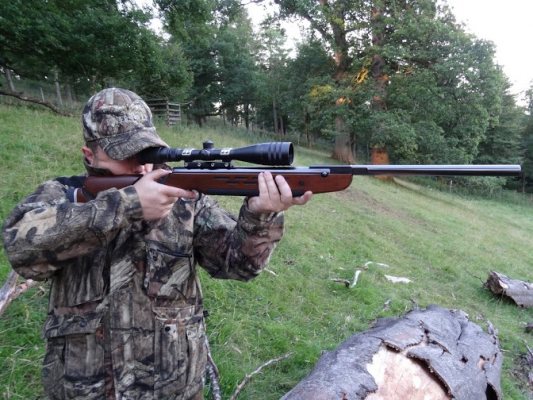 Weihrauch HW98 rifle - image {image:count}