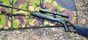 Kral Champion Air Rifle - image {image:count}