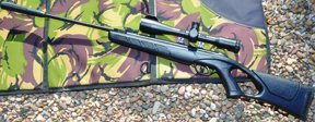 Kral Champion Air Rifle - image {image:count}