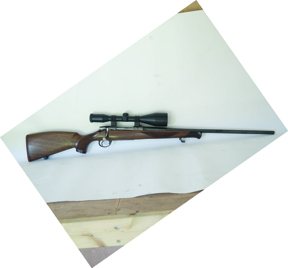 Zoli Alpine - image {image:count}