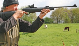 Gamo Shadow DX