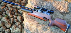 Rapid Airweapons HM1000 - image {image:count}