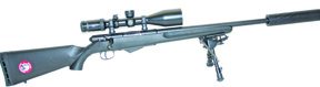 CZ 527 in 17 Hornet - image {image:count}