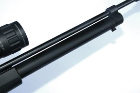 FX Gladiator - image {image:count}