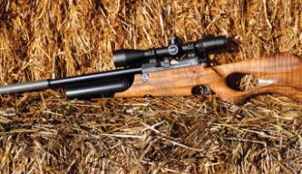 Daystate Wolverine B