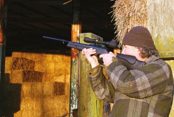 Airgun Hunter: 12 ft/lb and FAC-rated Air Rifles - image {image:count}