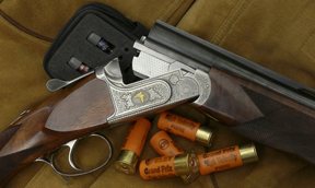 Zoli Expedition - image {image:count}