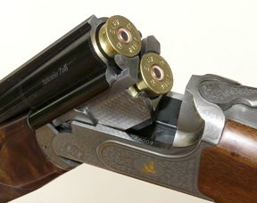 Zoli Expedition - image {image:count}