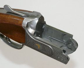 Zoli Expedition - image {image:count}