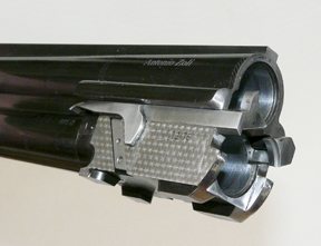 Zoli Expedition - image {image:count}