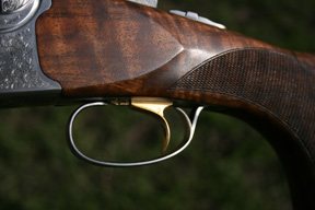 Beretta DT10 Scroll model - image {image:count}