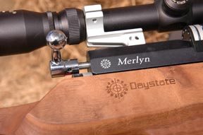 Daystate Merlyn PCP - image {image:count}