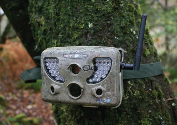 Hunting Story: Rats! - image {image:count}