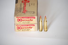 Ruger M77 Hawkeye Predator - image {image:count}