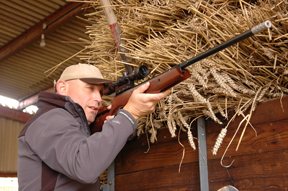 Cometa Fusion Star - image {image:count}