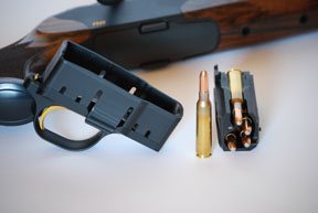 Blaser R8 - image {image:count}