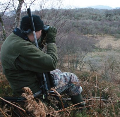 Hunting Story: Winter Stalking Roe - image {image:count}