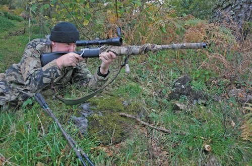 Hunting Story: Winter Stalking Roe